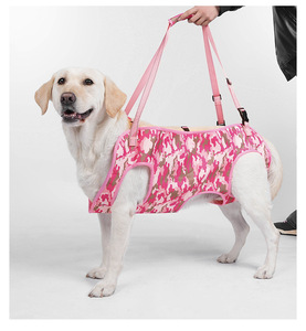 สายรัดช่วยพยุงสัตว์เลี้ยงแบบปรับได้สำหรับสุนัขและแมวสูงวัยหรือพิการ พร้อมหูจับสำหรับการฟื้นฟูสภาพร่างกายและการเดินเล่นกลางแจ้ง - Product Image 6