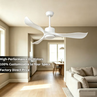 Ventilateur de plafond industriel de 52 pouces avec télécommande, moteur BLDC, débit d'air élevé, économie d'énergie, minuterie pour chambre à coucher et salon