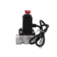 Dispositif de coupure de secours magnétique électronique électrovanne pour gaz