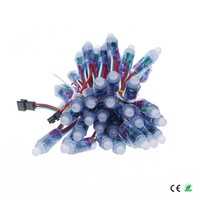Module LED à pixels pleine couleur 12 mm WS2811/WS2801 IC, éclairage paysager ABS, points lumineux F5, entrée IP67 étanche, DC 5V 80