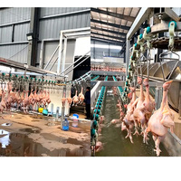 Équipement d'abattage de volailles entièrement automatique, équipement complet d'abattoir de poulets, ligne de traitement industrielle pour abattoir
