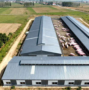 מבנה פלדה ז'יליאן, עיצוב תעשייתי מודרני, מבנה פלדה טרומי, מחסני גידול, לולי תרנגולות, לולי עופות - Product Image 3