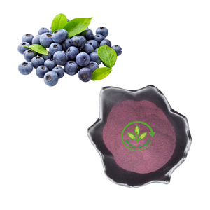 Polvo de Arándano Silvestre 100% Puro, Extracto de Arándano, Polvo de Antocianina 25% - Product Image 4