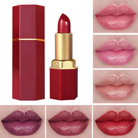 Lot de gloss à lèvres mat effet brume, haute qualité, personnalisable, waterproof, multicolore, coffret cadeau pour femme