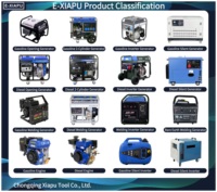 Groupe électrogène onduleur E-XIAPU 4kW 4.5KVA 12V/48V 230V OHV Technic AVR