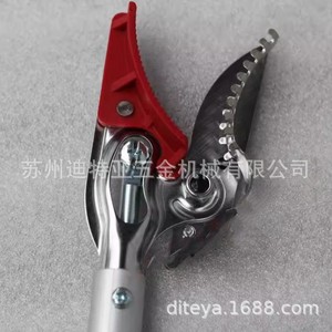 กรรไกรตัดแต่งกิ่ง Alice Fruit Picker รุ่น 150-0.6D สีแดง สำหรับเก็บดอกไม้และทำสวน - Product Image 4