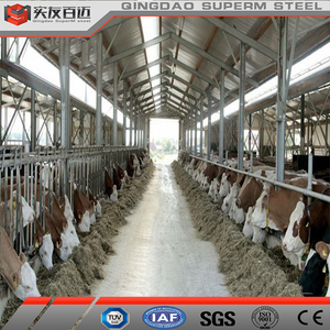 Conception moderne personnalisée Bâtiment de construction en acier léger préfabriqué Structure en acier Maison pour vaches Ferme pour bovins vaches laitières - Product Image 6