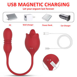 USA vendita calda donne massaggio vaginale stimolatore clitoride vibrare rosa giocattoli del sesso per la masturbazione femminile - Product Image 3