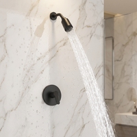 Ensemble de douche de luxe noir pour salle de bain, avec mitigeur et pommeau de douche pluie complet