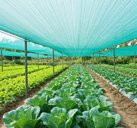 Schaduwdoek van HDPE Raschel, anti-UV, voor de landbouw