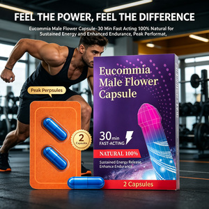 Capsules de fleurs d'Eucommia pour adultes avec huîtres, ginseng américain, supplément énergétique naturel à base de plantes, vitalité masculine, soin de la santé - Product Image 2
