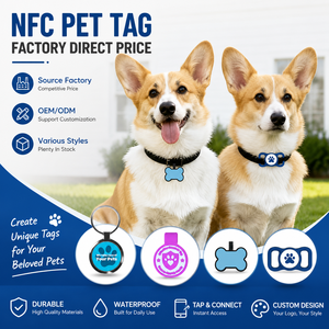 Étiquette NFC personnalisée pour chien, étiquette NFC pour animal de compagnie, porte-clés NFC, collier NFC personnalisé pour le suivi des animaux de compagnie - Product Image 1