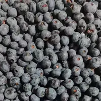 IQF Frozen Blueberry Fruit, Top Selling