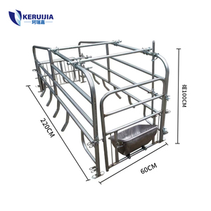 Nuove Gabbie di Gestazione per Suini Personalizzate, Recinti per Maternità con Mangiatoia in Acciaio Zincato 220*60cm - Product Image 2