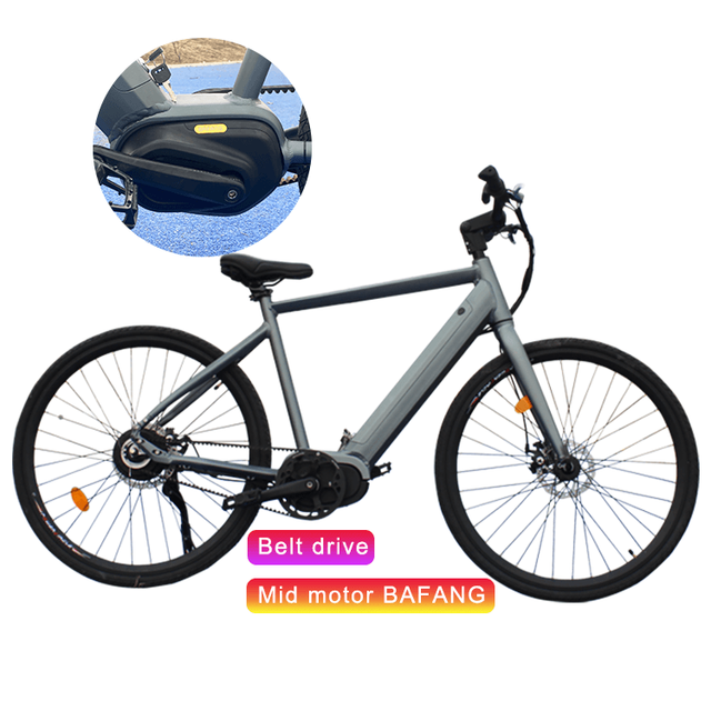 Big Power Electric Mountain E Bike 29 Inch Ebike Urban Commuting Electric Bicycle Mid Drive Motor for Adults Cycling
