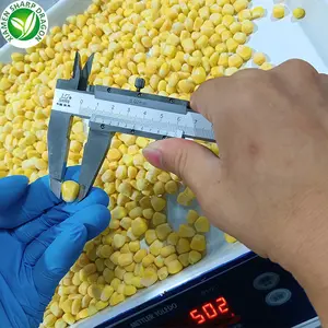 Frozen IQF Fresh Organic Whole Yellow Sweet Corn Kernel With Freezing Freezer Blanching Bulk In A Bag Best Price