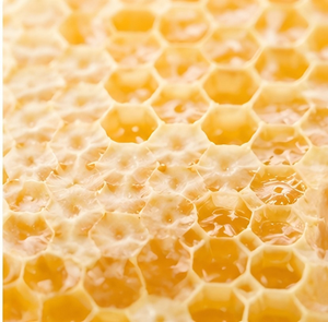 Natural Raw <strong>Honeycomb</strong> 100% Pure <strong>Honeycomb</strong> Bulk Wholesale Supplier Factory Direct Supply - Product Image 4