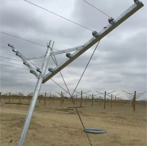 Sistemas de Enrejado para Viñas, Soporte para Uvas de Mesa, Enrejado Abierto Tipo Gable, Poste para Viñedo - Product Image 2