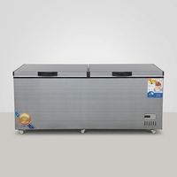 Congélateur coffre horizontal commercial en acier inoxydable CE à 2 portes, double température, pour usage domestique