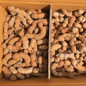 Bột Đậu Oleoresin Bột Rowanzi Màu Vàng Me - Product Image 3