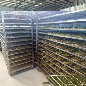 فرن تجفيف الفواكه والخضروات المحترف من الشركة المصنعة ، مجفف فواكه فعال بمحرك للفواكه والخضروات الجافة - Product Image 4