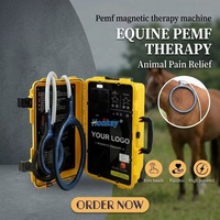 Équipement de thérapie par ondes de choc pour la récupération des chevaux, machine à ondes de choc focalisées portable pour la réadaptation vétérinaire