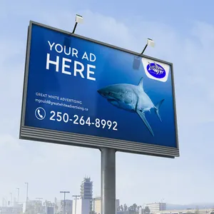 P2 P3 P4 P5 P6 P8 P10 Commercial Advertising Outdoor LED Screen / Led Video Wall