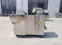 Volautomatische Commerciële Groentesnijder/Multifunctionele Shredder