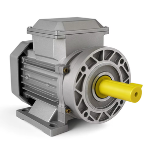 Moteur à induction AC triphasé <span class=keywords><strong>de</strong></span> qualité industrielle <span class=keywords><strong>de</strong></span> <span class=keywords><strong>base</strong></span> 750W 1HP 110V-440V IE2 avec boîtier étanche pour pompes et entraînements <span class=keywords><strong>de</strong></span> convoyeurs - Product Image 1