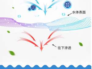 Enterococcus Faecalis Probiotics (Feed Grade <strong>Microecologics</strong>) for Aquaculture Shandong Origin - Product Image 3