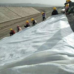 200g/ ㎡   Géotextile en filaments non tissés, couche filtrante pour barrages, géotextile - Product Image 5