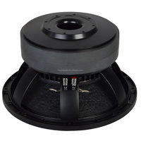 Haut-parleur de graves de 12 pouces 12100-025 Aimants doubles 600W RMS Bobine de 4 pouces Subwoofer audio professionnel passif pour système de sonorisation en ligne Modèle