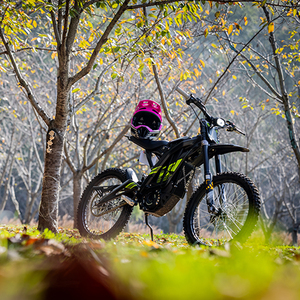 2025 PIT BIKE มอเตอร์ไซค์ไฟฟ้ารถจักรยานวิบากขนาดมินิไฟเซอร์ราวด์ Bee x 8000W - Product Image 4
