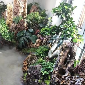 <span class=keywords><strong>Seiryu</strong></span> Pierre Aquarium Fish Tank Paysage Pierre Bleu Foudre Pierre - Product Image 4