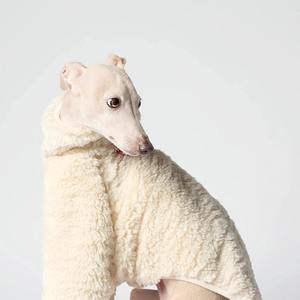 क्यूईईंग पालतू कस्टम नए डिजाइनर लक्जरी अलका गर्म नरम ग्रेहाउंड कपड़े कुत्ते कोट दो पैर इतालवी ग्रेहाउंड गर्म नरम नरम नरम - Product Image 5