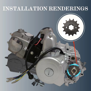 Pignon d'entraînement d'origine OEM pour <span class=keywords><strong>Yamaha</strong></span> <span class=keywords><strong>TZR</strong></span> <span class=keywords><strong>50</strong></span>, DT <span class=keywords><strong>50</strong></span> R, DT <span class=keywords><strong>50</strong></span> RSM pour 428-15T-20mm - Product Image 6