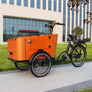 Holland Bakfiets, vélo cargo électrique à 3 roues, moto/tricycle à pédales avec <span class=keywords><strong>porte</strong></span> latérale, <span class=keywords><strong>meilleur</strong></span> prix CE - Product Image 3