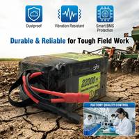Batterie pour drone agricole 12S 6S 24S, pack professionnel haute densité énergétique pour UAV, capacité de levage lourd, 25C, 800 cycles