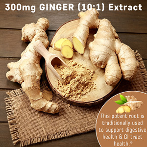 Complément Herbal Haute Puissance Curcuma Gingembre Poivre Noir Extrait de Fruits Curcumine et Gingembre pour les Articulations - Product Image 4
