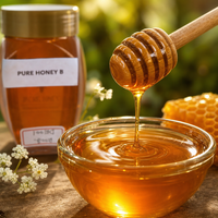 Pot en plastique transparent de 500 g de miel naturel avec couvercle doré, miel pur doré pour le thé, le petit-déjeuner, la pâtisserie et la restauration