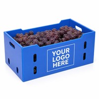 Boîte en plastique ondulé bleu PP réutilisable et retournable avec impression de logo personnalisé pour l'emballage de la récolte de raisins
