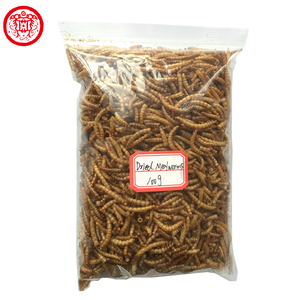 Gusanos de la Harina Secos con Alto Contenido de Proteína <span class=keywords><strong>para</strong></span> Alimento de Peces Guppy - Product Image 4