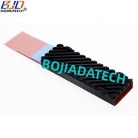 Fabrieksgroothandel Zuiver Koper 2280 M.2 NVMe NGFF SSD Koellichaam Coating Grafeen 4MM voor PS5 Desktop Op Voorraad