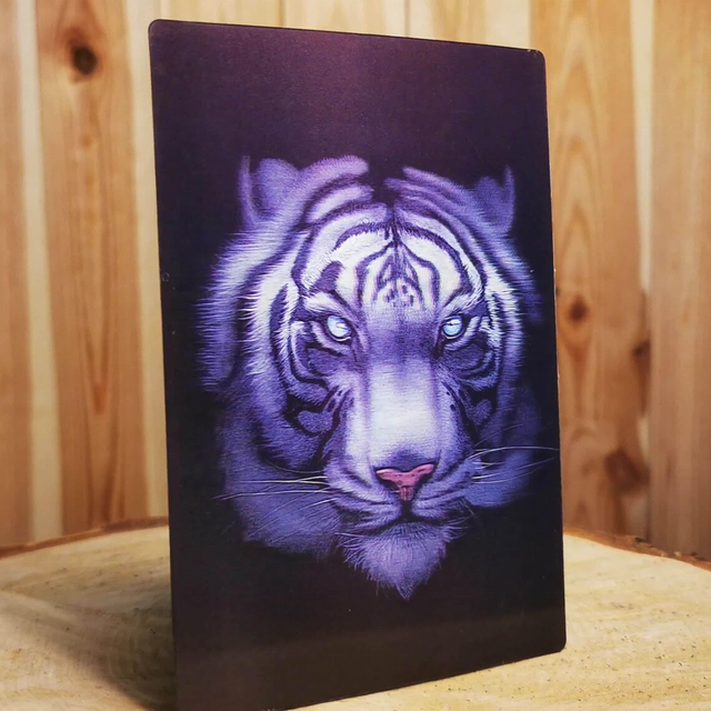 Custom 3D Lenticular Poster Optical Illusion Holographic Pictures 3D Durable Acrylic Design for Stunning Visuals