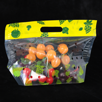 Op Maat Gemaakte Biologisch Afbreekbare Ritssluiting Handvat Fruit Verpakkingszak Food-Grade Geperforeerde Druiven Verpakking Milieuvriendelijk Plastic Winkelen