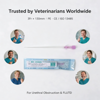 Échantillon gratuit de cathéter Tomcat avec stylet pour chaton