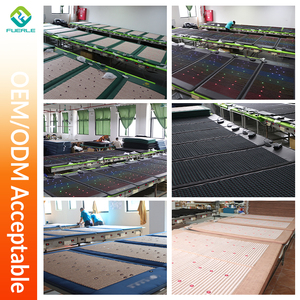 Strisce di luce PEMF terapia tappetino fotone luce dolore rilievo materasso lontano infrarosso riduzione entropia abete minerale PEMF tappetino - Product Image 6