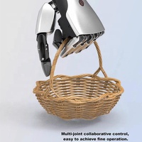 Vente d'usine Divers Main Robotique Modulaire Intelligente pour Bras Robot Main Mouvement Robot Main