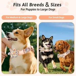 Conjunto de Collar y Correa para Perro, Collares Ajustables para Cachorros con Lazo Floral para Perros Hembras Pequeños, Medianos y Grandes - Product Image 4