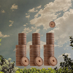 Bouchons de départ de graines de coco bio tourbe de mousse comprimés de pépinière blocs pressés par terre pour la plantation de graines - Product Image 2